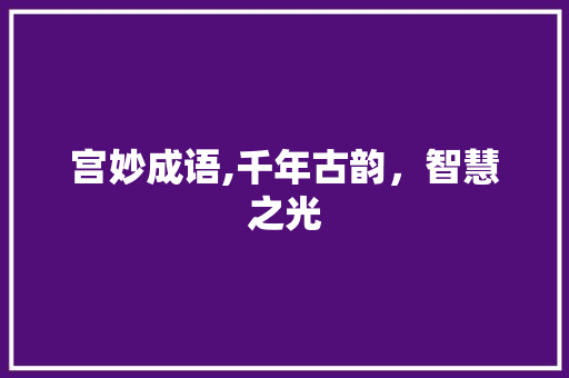 宫妙成语,千年古韵，智慧之光