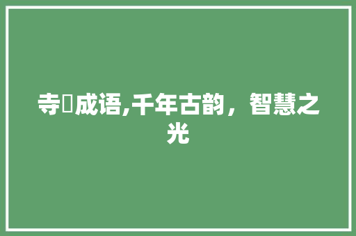 寺旳成语,千年古韵，智慧之光 生活感悟