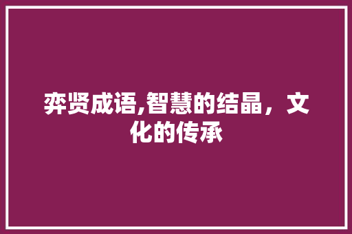 弈贤成语,智慧的结晶，文化的传承
