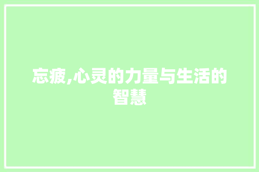 忘疲,心灵的力量与生活的智慧