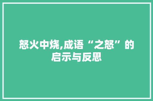 怒火中烧,成语“之怒”的启示与反思