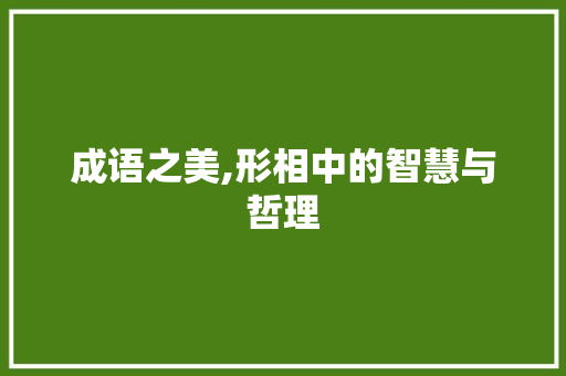 成语之美,形相中的智慧与哲理