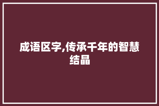 成语区字,传承千年的智慧结晶 采访稿