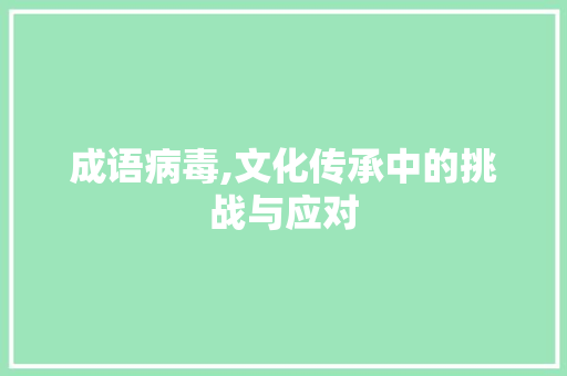成语病毒,文化传承中的挑战与应对