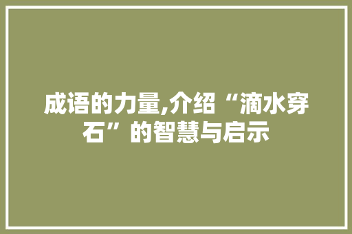 成语的力量,介绍“滴水穿石”的智慧与启示 工作类