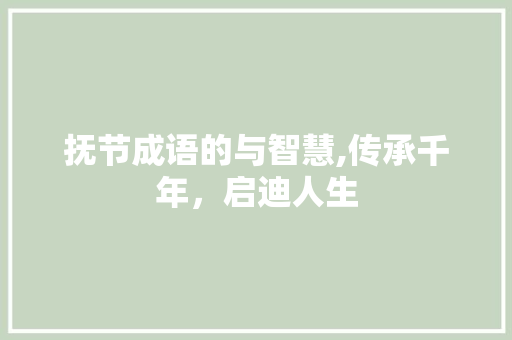 抚节成语的与智慧,传承千年，启迪人生