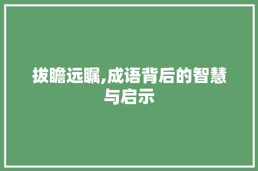 拔瞻远瞩,成语背后的智慧与启示