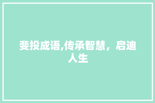 斐投成语,传承智慧，启迪人生