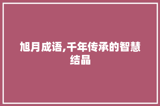 旭月成语,千年传承的智慧结晶 生活类