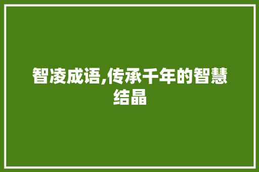 智凌成语,传承千年的智慧结晶