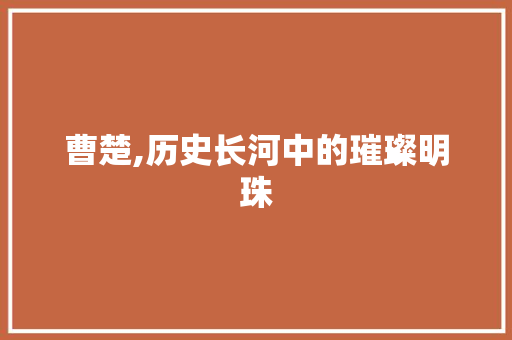 曹楚,历史长河中的璀璨明珠