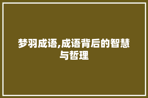 梦羽成语,成语背后的智慧与哲理