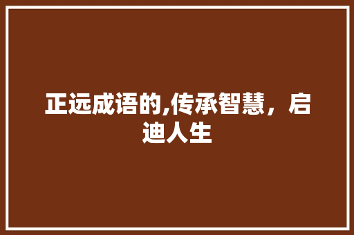 正远成语的,传承智慧，启迪人生 工作总结