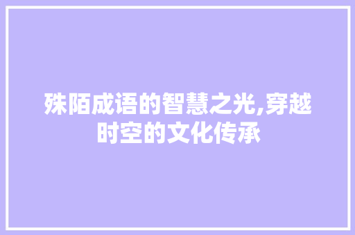 殊陌成语的智慧之光,穿越时空的文化传承 特写稿