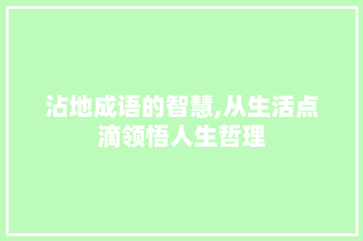 沾地成语的智慧,从生活点滴领悟人生哲理