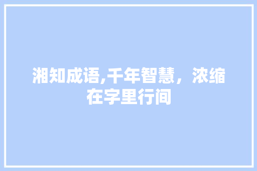 湘知成语,千年智慧，浓缩在字里行间
