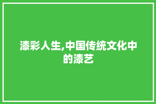 漆彩人生,中国传统文化中的漆艺 工作总结