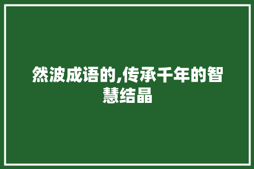 然波成语的,传承千年的智慧结晶