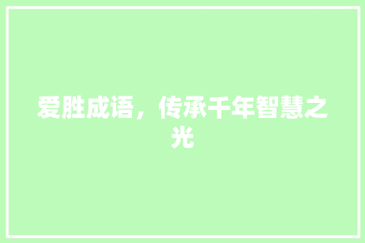 爱胜成语，传承千年智慧之光 工作类