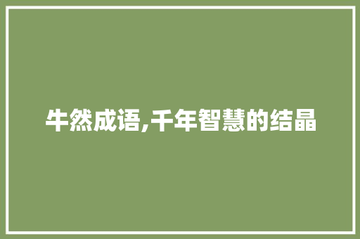 牛然成语,千年智慧的结晶
