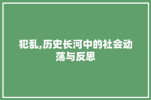 犯乱,历史长河中的社会动荡与反思 生活类