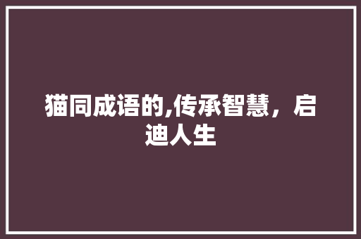 猫同成语的,传承智慧，启迪人生