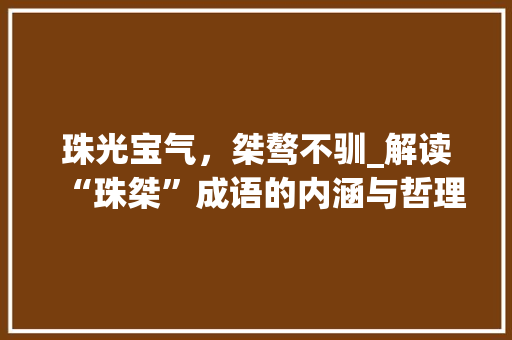 珠光宝气，桀骜不驯_解读“珠桀”成语的内涵与哲理 工作类