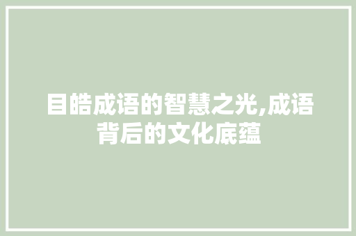 目皓成语的智慧之光,成语背后的文化底蕴