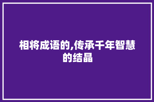 相将成语的,传承千年智慧的结晶
