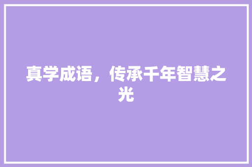 真学成语，传承千年智慧之光