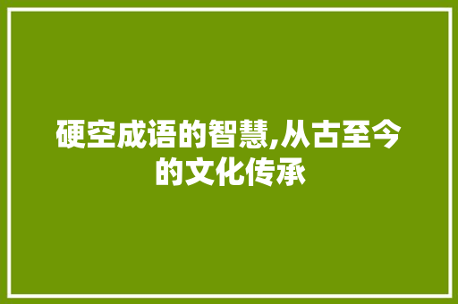 硬空成语的智慧,从古至今的文化传承 生活感悟