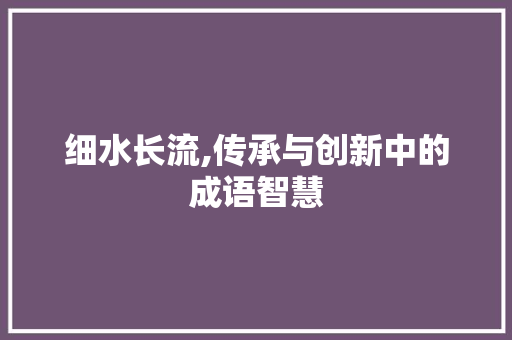 细水长流,传承与创新中的成语智慧