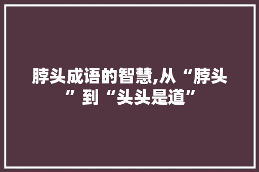 脖头成语的智慧,从“脖头”到“头头是道”