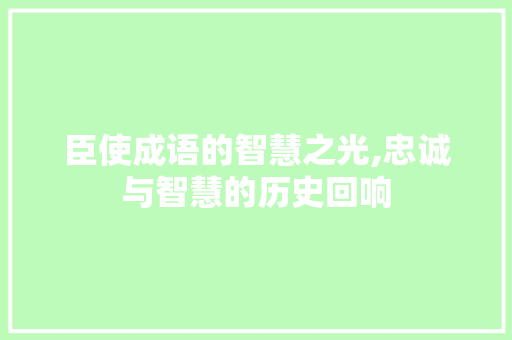 臣使成语的智慧之光,忠诚与智慧的历史回响