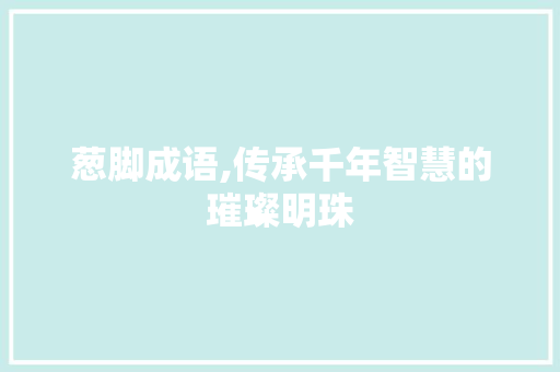 葱脚成语,传承千年智慧的璀璨明珠