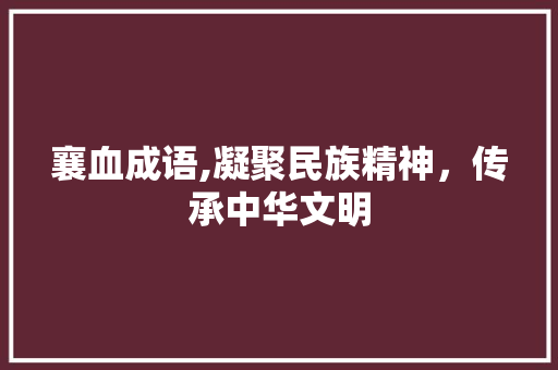 襄血成语,凝聚民族精神，传承中华文明