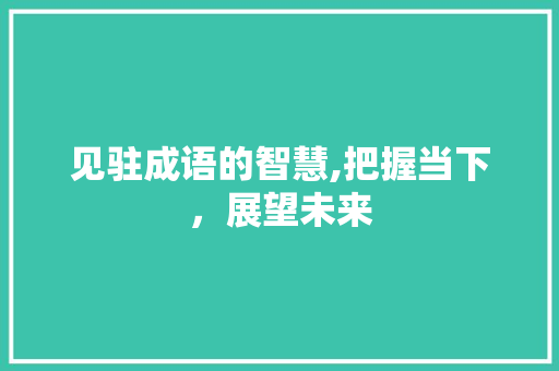 见驻成语的智慧,把握当下，展望未来