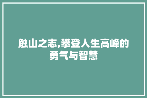 触山之志,攀登人生高峰的勇气与智慧
