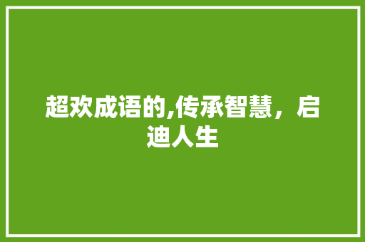 超欢成语的,传承智慧，启迪人生