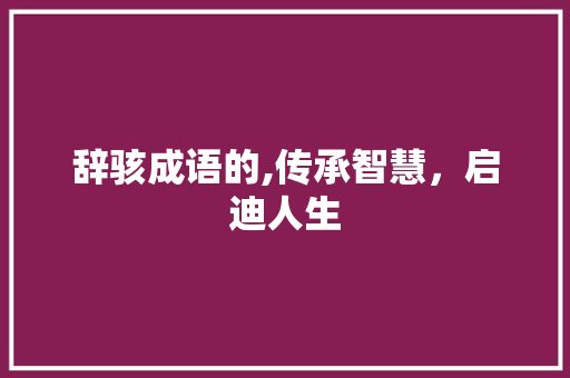 辞骇成语的,传承智慧，启迪人生