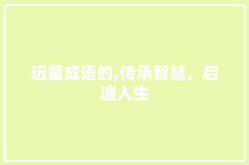 远量成语的,传承智慧，启迪人生