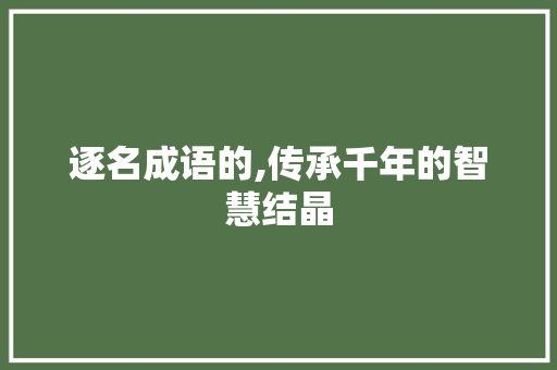 逐名成语的,传承千年的智慧结晶