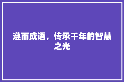 遵而成语，传承千年的智慧之光