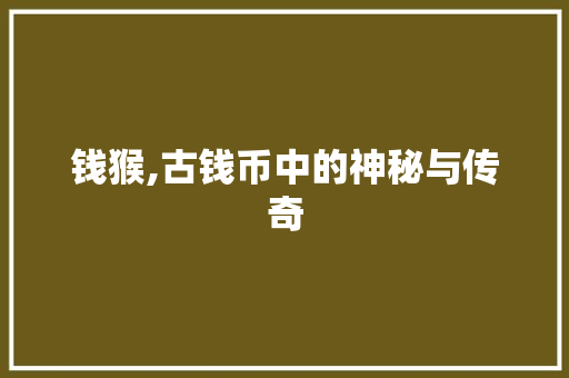 钱猴,古钱币中的神秘与传奇