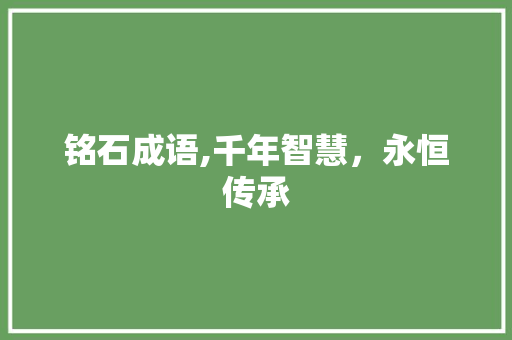 铭石成语,千年智慧，永恒传承 商业文稿