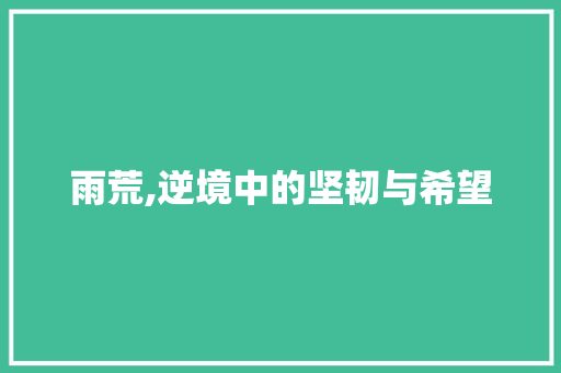 雨荒,逆境中的坚韧与希望