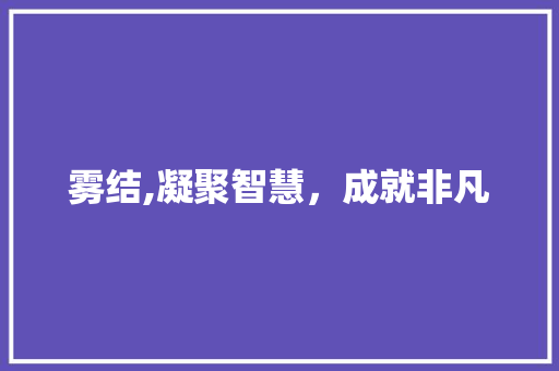 雾结,凝聚智慧，成就非凡