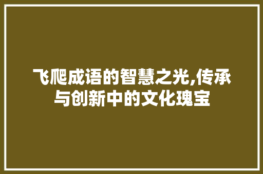 飞爬成语的智慧之光,传承与创新中的文化瑰宝