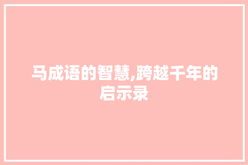 马成语的智慧,跨越千年的启示录