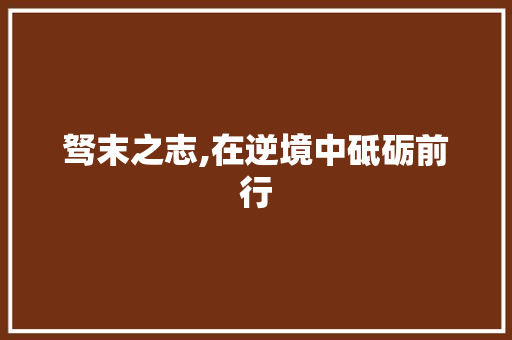 驽末之志,在逆境中砥砺前行